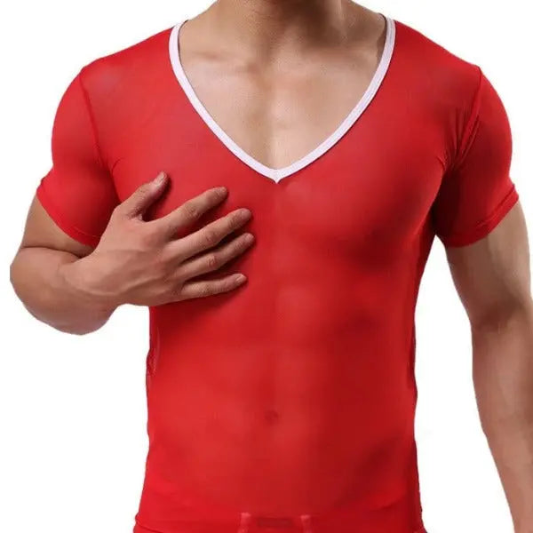 Mesh V-Neck Top Go Kink