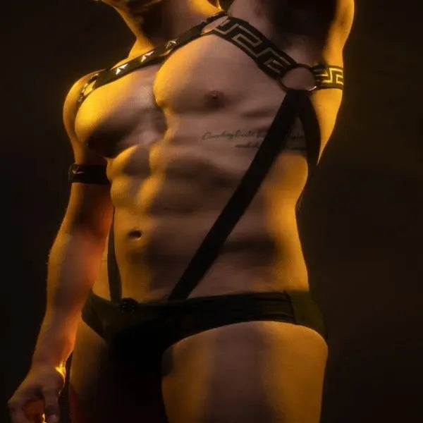 Cotton Stretch Harness Go Kink