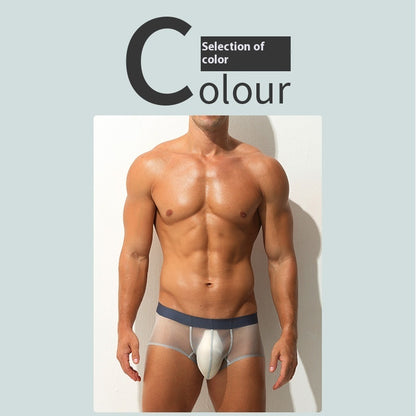 Men's Ultra-thin Transparent Boxers