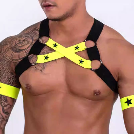 Dual Chest Strap Harness