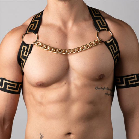 Gold Pattern Harness and Chain