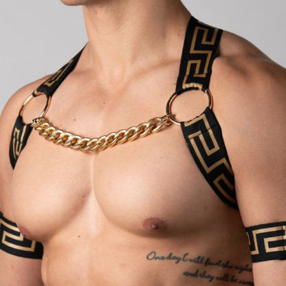 Gold Pattern Harness and Chain