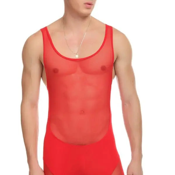 Mesh Bodysuit Go Kink