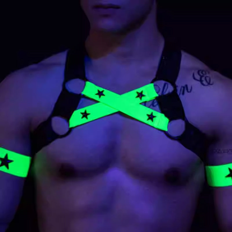 Dual Chest Strap Harness
