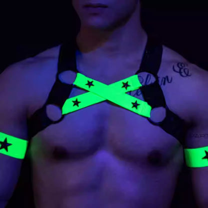 Dual Chest Strap Harness