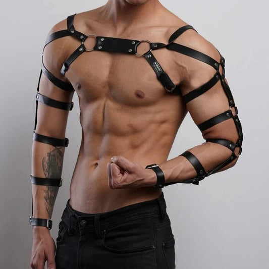 Chest and Arm Harness