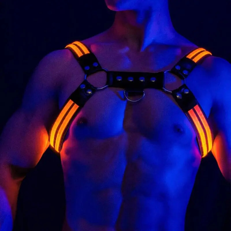 LED Harness Multicolour Go Kink