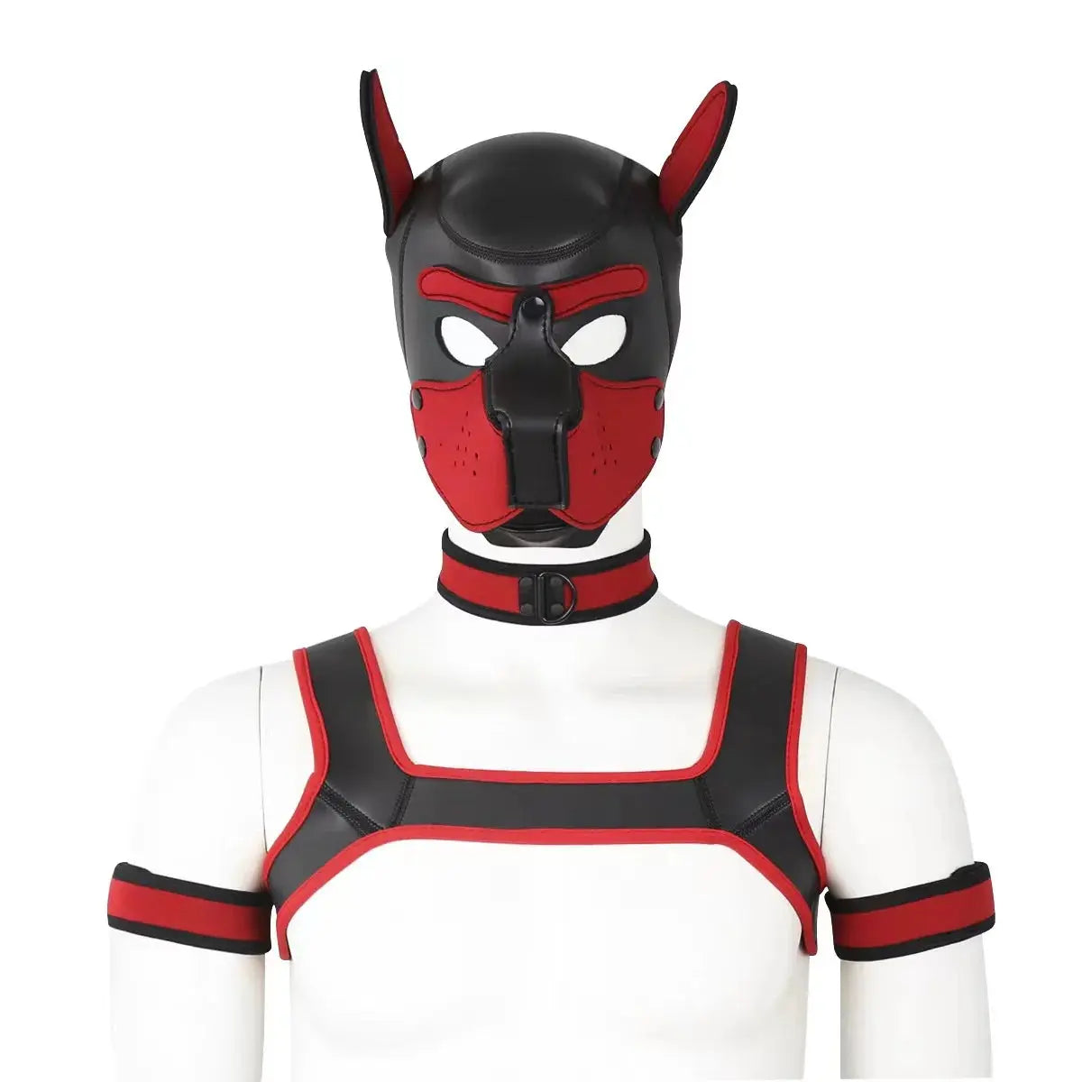 Fetish Style Harness and Mask Go Kink!